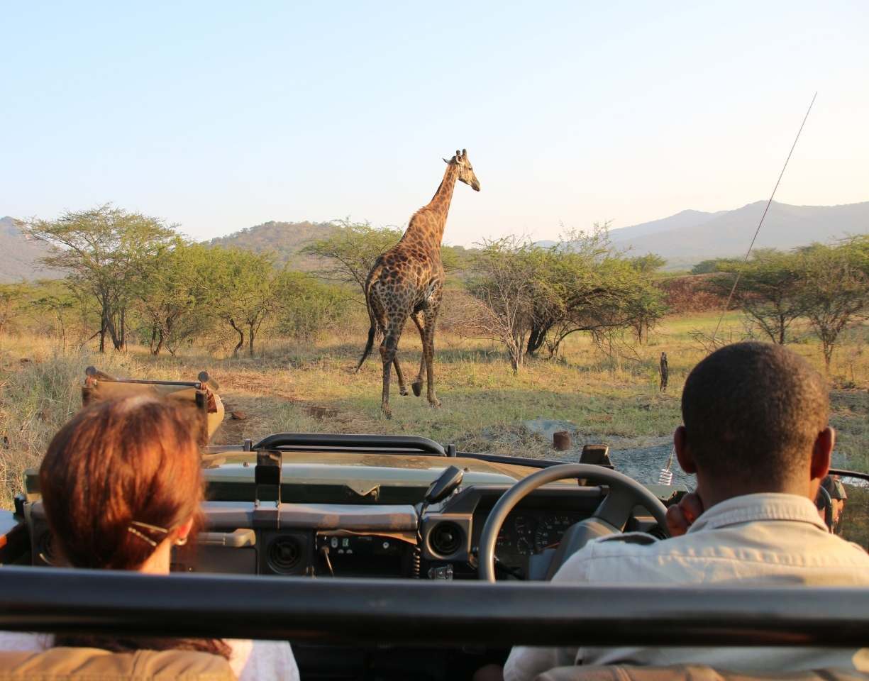 Africa Blue Tour - Classic
