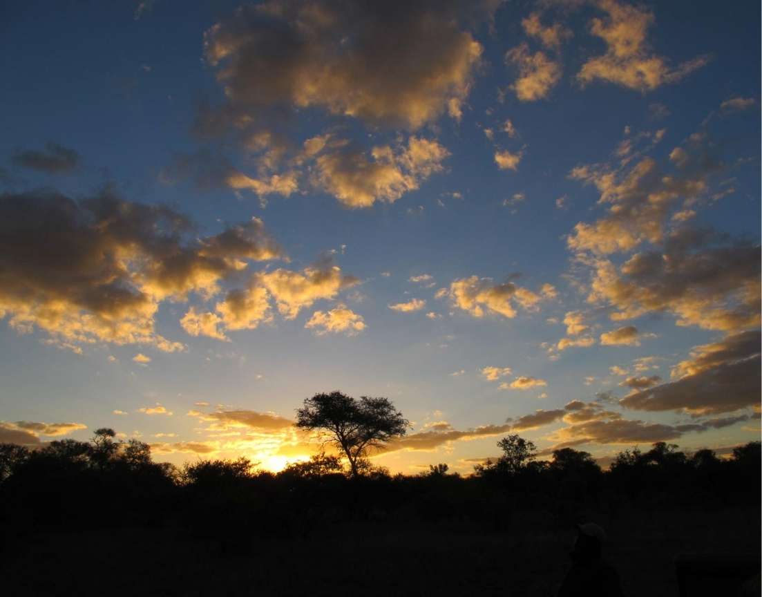 Africa Blue Tour - Safari